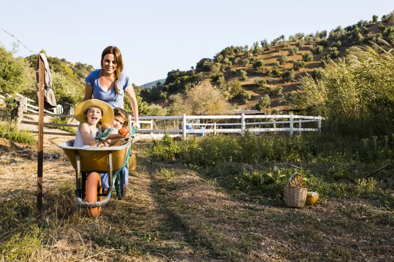 homesteading